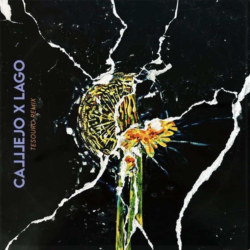 Portada do single Tesouro (Remix) de Calllejo